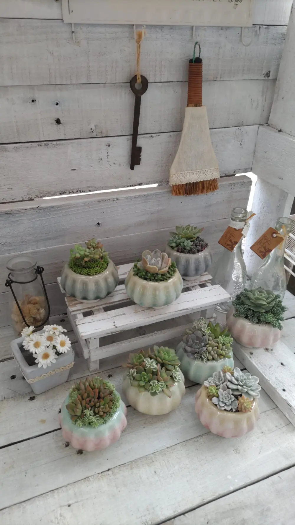 寄せ植えコンテストに参加します(^^)初めてネルソルを使ってみました